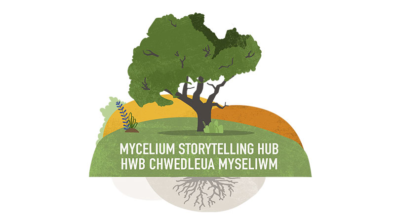 Storytelling hub logo